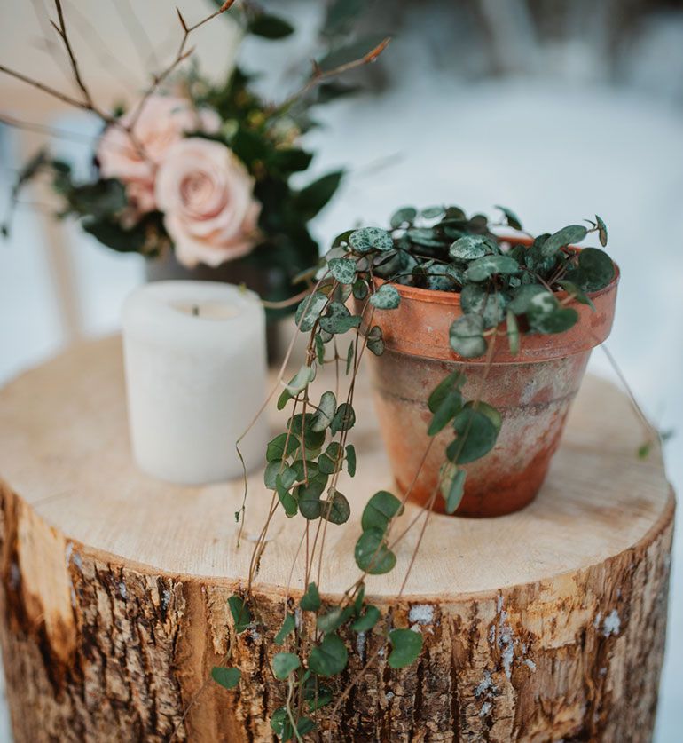 Pot en terre vintage
